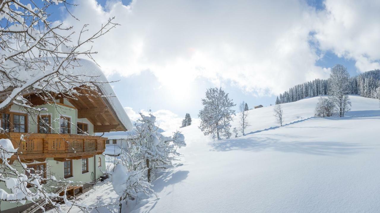 Oberschartlhof Apartman Flachau Kültér fotó